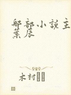 哪部小说主角叫叶辰