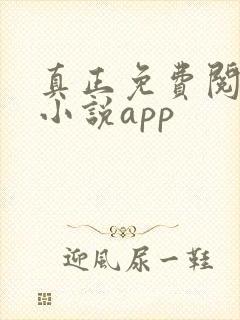 真正免费阅读的小说app