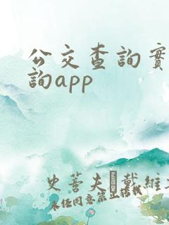 公交查询实时查询app 公交查询实时查询app
