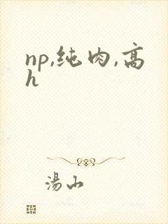 np,纯肉,高h