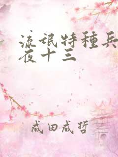 流氓特种兵杨洛夜十三