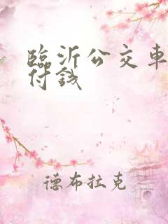 临沂公交车怎么付钱
