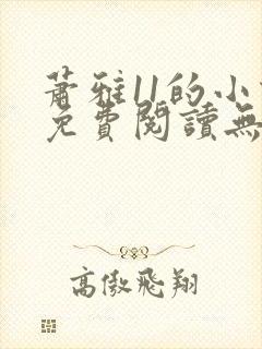 萧雅11的小说免费阅读无弹窗最新章节