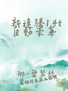 新速腾1.4t自动豪华