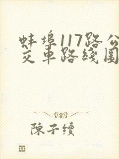 蚌埠117路公交车路线图