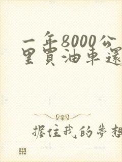 一年8000公里买油车还是电车