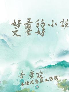 好看的小说推荐文笔好
