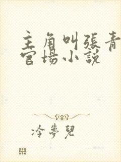 主角叫张青云的官场小说