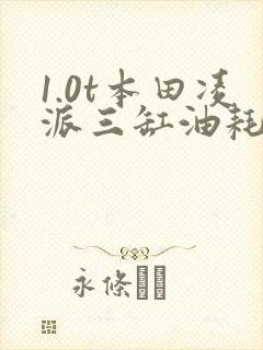 1.0t本田凌派三缸油耗大概多少
