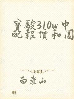 宝骏310w中配报价和图片
