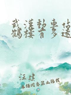 武汉动车站离黄鹤楼有多远