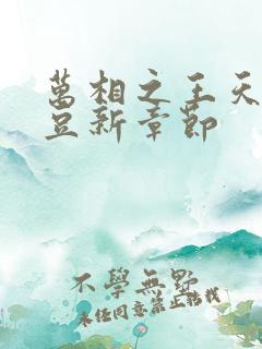 万相之王天蚕土豆新章节