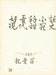 好看的小说言情现代甜宠文