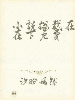 小说总裁在上我在下免费
