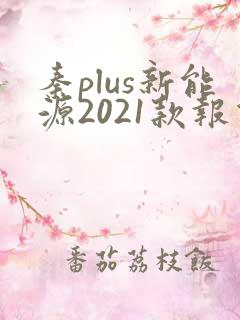 秦plus新能源2021款报价