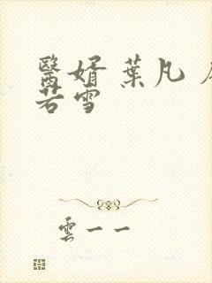 医婿 叶凡 唐若雪
