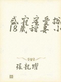 盛宠蜜爱总裁的18岁甜妻 小说