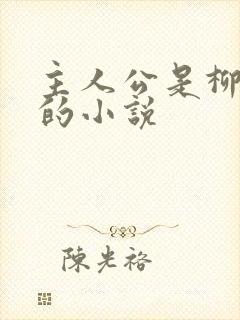 主人公是柳无邪的小说