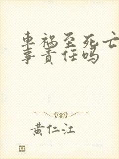 车祸至死亡有刑事责任吗