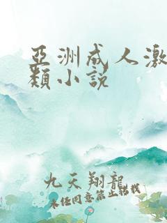 亚洲成人激情另类小说