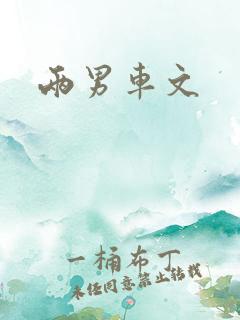 两男车文