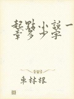 起点小说一般一章多少字