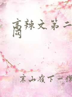 高辣文第二书包网