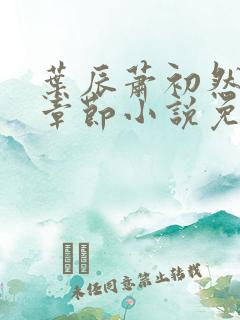 叶辰萧初然最新章节小说免费阅读