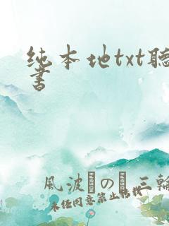 纯本地txt听书