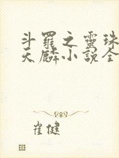 斗罗之灵珠神剑天麟小说全文在线阅读