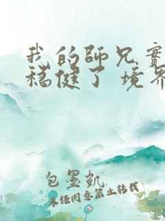 我的师兄实在太稳健了 境界划分