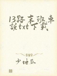 13路末班车小说txt下载