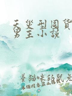 天灾型囤货类双男主小说