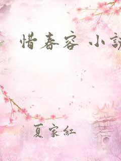 惜春容 小说