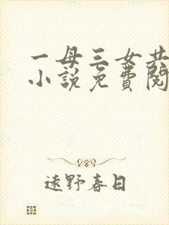 一母三女共一婿小说免费阅读