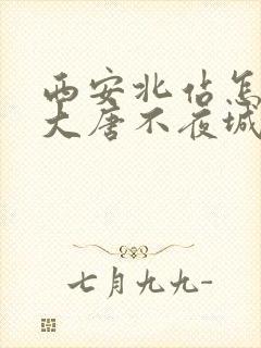 西安北站怎么到大唐不夜城
