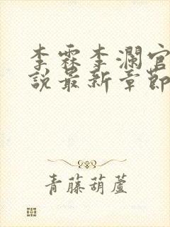 李霖李澜官场小说最新章节更新时间