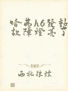 哈弗h6发动机故障灯亮了怎么办