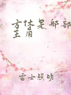 方休是哪部小说主角