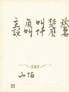 主角叫楚慈的小说叫什么名字
