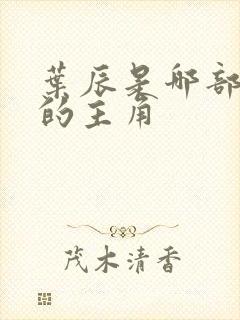 叶辰是哪部小说的主角