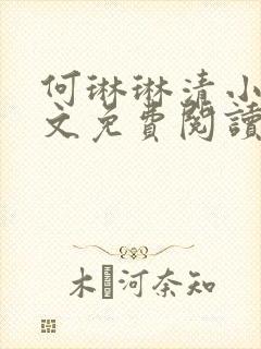 何琳琳清小说全文免费阅读