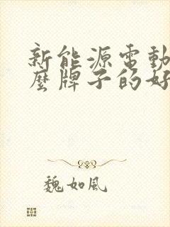 新能源电动车什么牌子的好 新能源电动车什么牌子的好