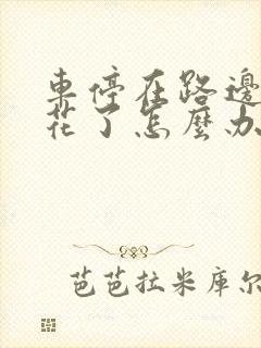 车停在路边被刮花了怎么办