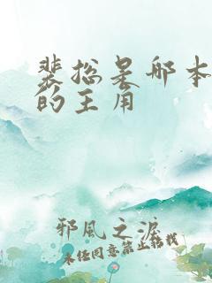 裴总是哪本小说的主角