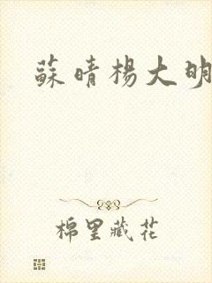 苏晴杨大明小说