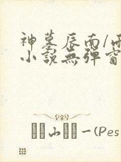 神墓辰南/雨馨小说无弹窗全文免费阅读