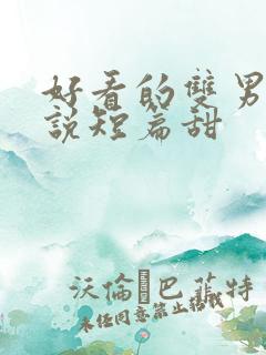 好看的双男主小说短篇甜