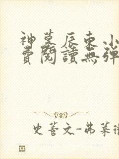 神墓辰东小说免费阅读无弹窗
