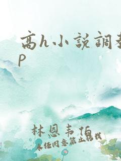 高h小说调教np
